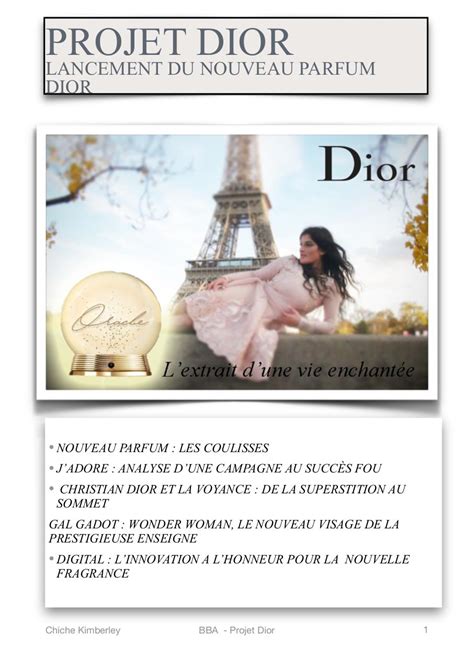 christian Dior finance pdf